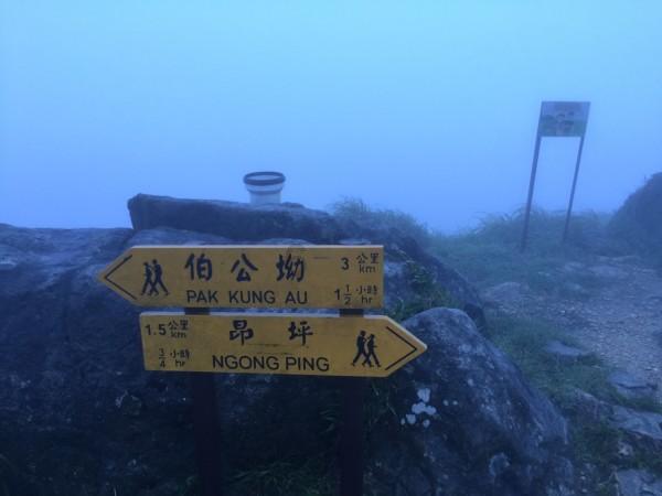 新黄金矿工