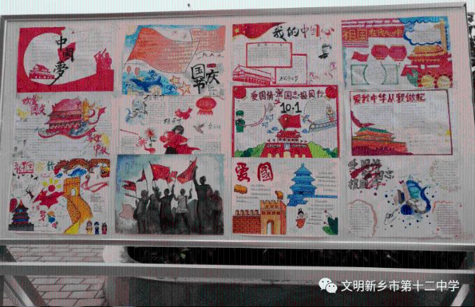 如何选一只品相好的哈士奇?看它头上的“三把火”准没错